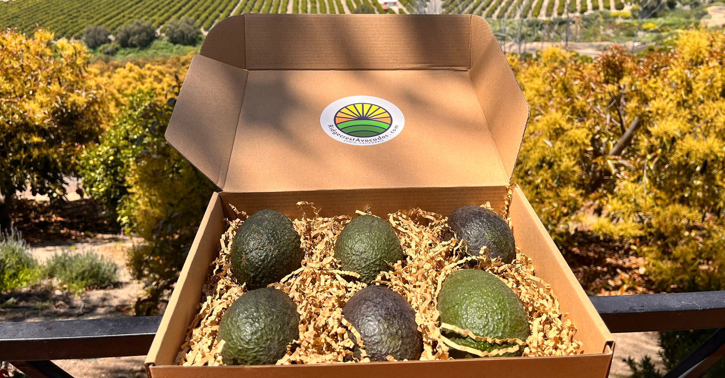 avocado gifts farm gifts