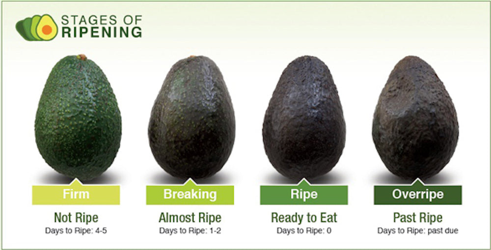 Ripeness Guide – Ridgecrest Avocados